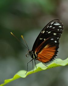 20140323_113743a.jpg